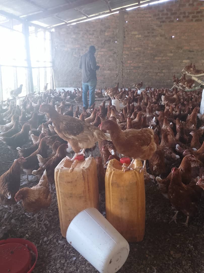 Fondazione Cuore Livio Mazzonetto ONLUS